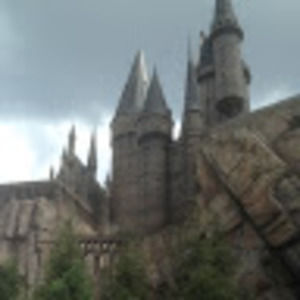 Meet your Posher, Kyra